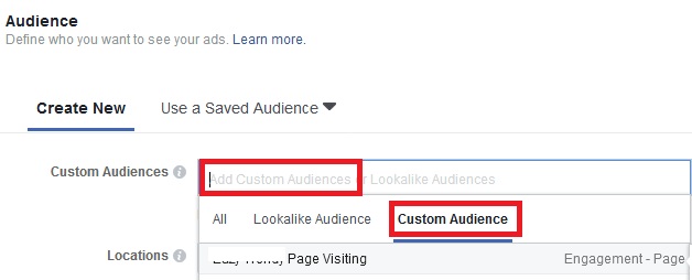 set your facebook page custom audience