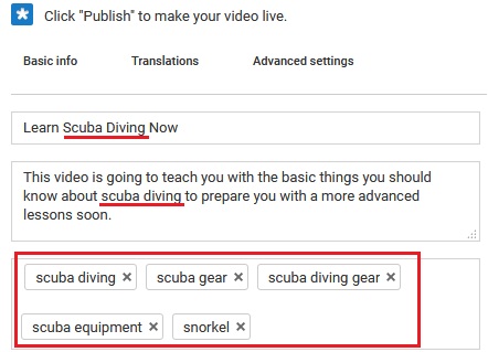 enter keyword into video title, description and tags for more Youtube views