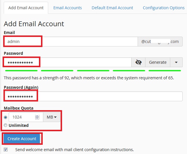 the step to add branded email address in domain cpanel